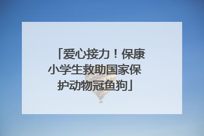 爱心接力！保康小学生救助国家保护动物冠鱼狗