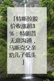 特斯拉股价收涨超3%：特朗普无意沟通，马斯克父亲劝儿子低头