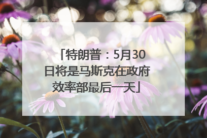 特朗普：5月30日将是马斯克在政府效率部最后一天