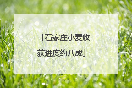 石家庄小麦收获进度约八成