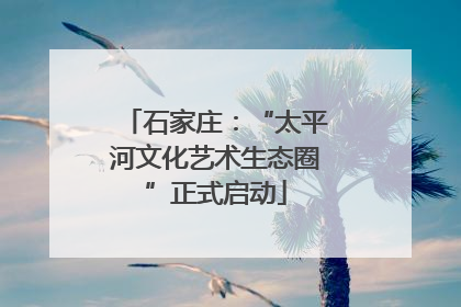 石家庄：“太平河文化艺术生态圈”正式启动