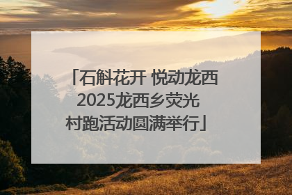 石斛花开 悦动龙西 2025龙西乡荧光村跑活动圆满举行