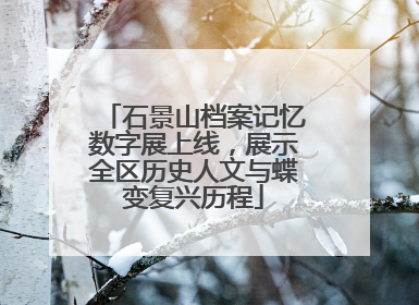 石景山档案记忆数字展上线，展示全区历史人文与蝶变复兴历程