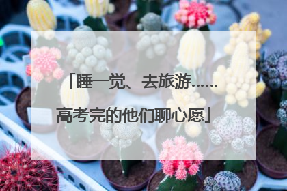 睡一觉、去旅游……高考完的他们聊心愿