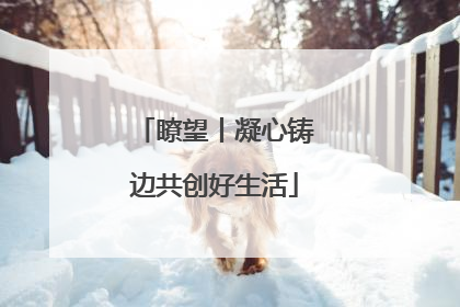 瞭望丨凝心铸边共创好生活