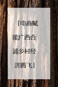 电商赋能广西合浦乡村经济腾飞