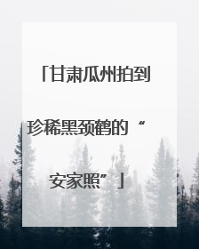 甘肃瓜州拍到珍稀黑颈鹤的“安家照”