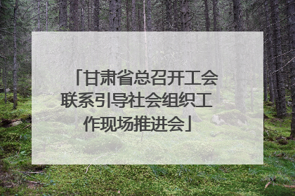 甘肃省总召开工会联系引导社会组织工作现场推进会