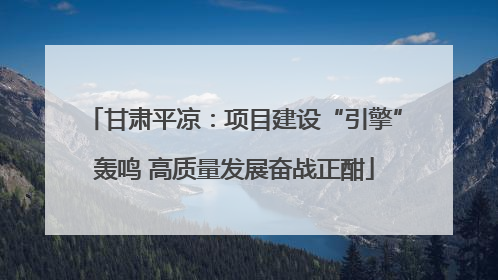 甘肃平凉：项目建设“引擎”轰鸣 高质量发展奋战正酣