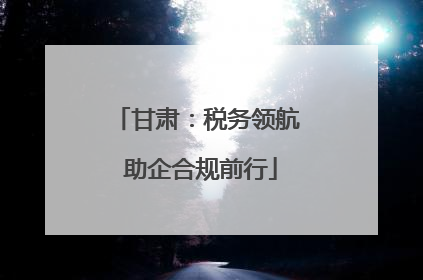 甘肃：税务领航 助企合规前行