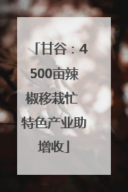 甘谷：4500亩辣椒移栽忙 特色产业助增收