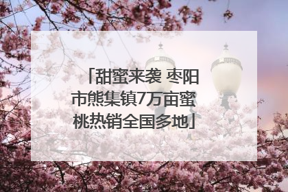 甜蜜来袭 枣阳市熊集镇7万亩蜜桃热销全国多地