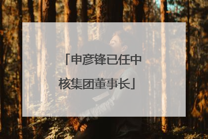 申彦锋已任中核集团董事长