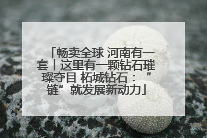 畅卖全球 河南有一套丨这里有一颗钻石璀璨夺目 柘城钻石：“链”就发展新动力