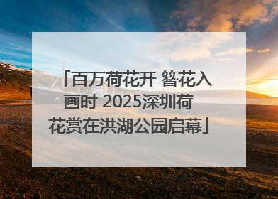 百万荷花开 簪花入画时 2025深圳荷花赏在洪湖公园启幕