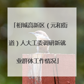 相城高新区（元和街道）人大工委调研新就业群体工作情况