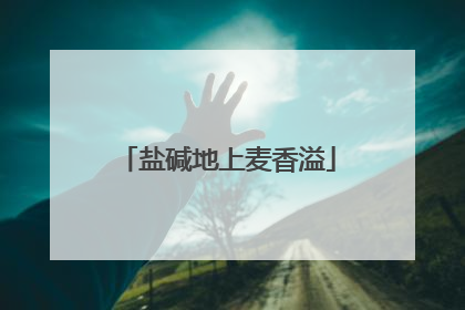 盐碱地上麦香溢