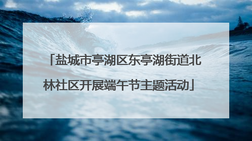 盐城市亭湖区东亭湖街道北林社区开展端午节主题活动