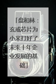 盘和林：玄戒芯片为小米打好了未来十年企业发展的基础