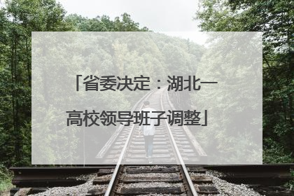 省委决定：湖北一高校领导班子调整