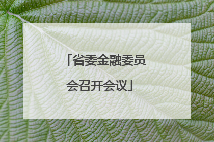 省委金融委员会召开会议