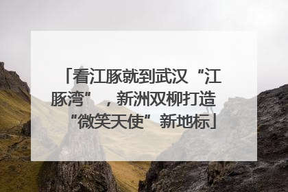 看江豚就到武汉“江豚湾”，新洲双柳打造“微笑天使”新地标