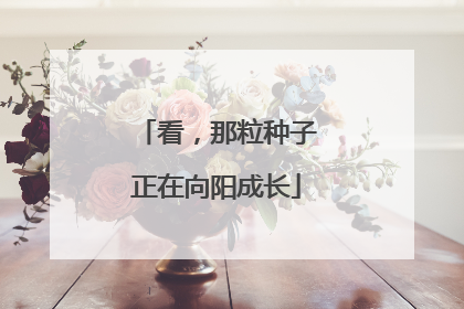 看，那粒种子正在向阳成长