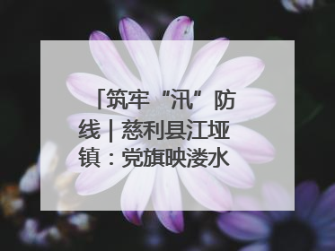筑牢“汛”防线｜慈利县江垭镇：党旗映溇水 清淤见担当