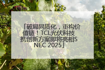 破局同质化，重构价值链！TCL光伏科技携创新方案即将亮相SNEC 2025