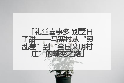 礼堂喜事多 别墅日子甜——马寨村从“穷乱差”到“全国文明村庄”的蝶变之路