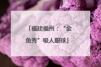 福建福州：“金鱼秀”吸人眼球