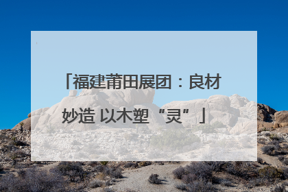 福建莆田展团：良材妙造 以木塑“灵”