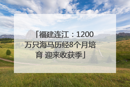 福建连江：1200万只海马历经8个月培育 迎来收获季