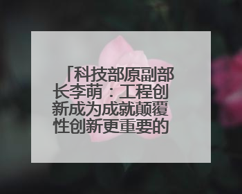 科技部原副部长李萌：工程创新成为成就颠覆性创新更重要的形式