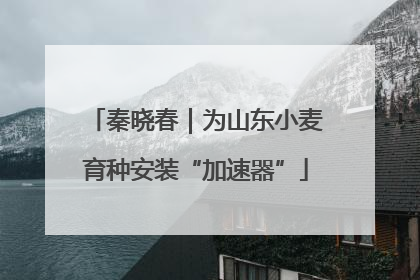 秦晓春｜为山东小麦育种安装“加速器”