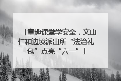童趣课堂学安全，文山仁和边境派出所“法治礼包”点亮“六一”