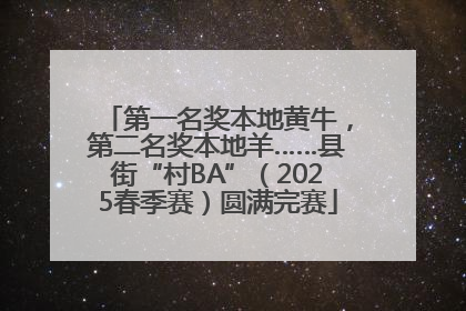 第一名奖本地黄牛，第二名奖本地羊……县街“村BA”（2025春季赛）圆满完赛
