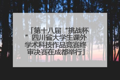 第十八届“挑战杯”四川省大学生课外学术科技作品竞赛终审决赛在成都举行