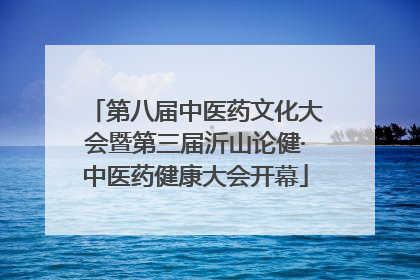 第八届中医药文化大会暨第三届沂山论健·中医药健康大会开幕