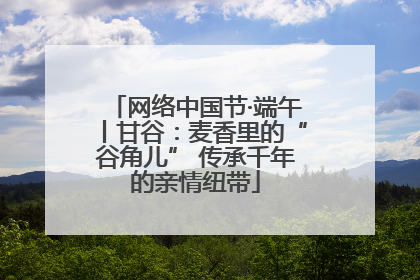 网络中国节·端午丨甘谷：麦香里的“谷角儿” 传承千年的亲情纽带