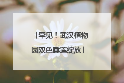 罕见！武汉植物园双色睡莲绽放