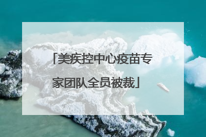 美疾控中心疫苗专家团队全员被裁