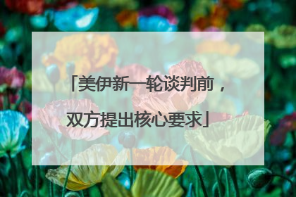 美伊新一轮谈判前，双方提出核心要求