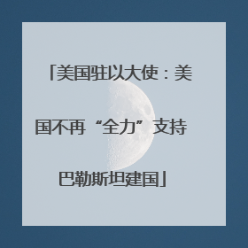 美国驻以大使：美国不再“全力”支持巴勒斯坦建国