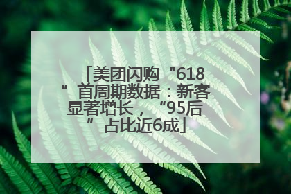美团闪购“618”首周期数据：新客显著增长，“95后”占比近6成