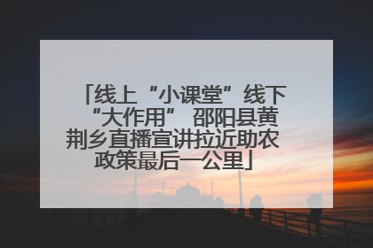 线上“小课堂”线下“大作用” 邵阳县黄荆乡直播宣讲拉近助农政策最后一公里