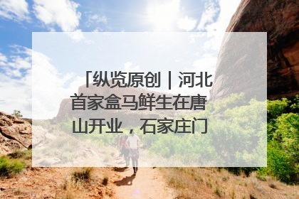 纵览原创｜河北首家盒马鲜生在唐山开业，石家庄门店预计8月开业