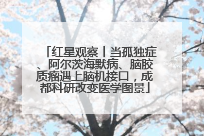 红星观察丨当孤独症、阿尔茨海默病、脑胶质瘤遇上脑机接口，成都科研改变医学图景