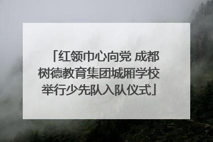 红领巾心向党 成都树德教育集团城厢学校举行少先队入队仪式