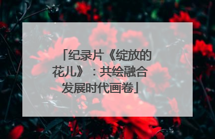 纪录片《绽放的花儿》：共绘融合发展时代画卷